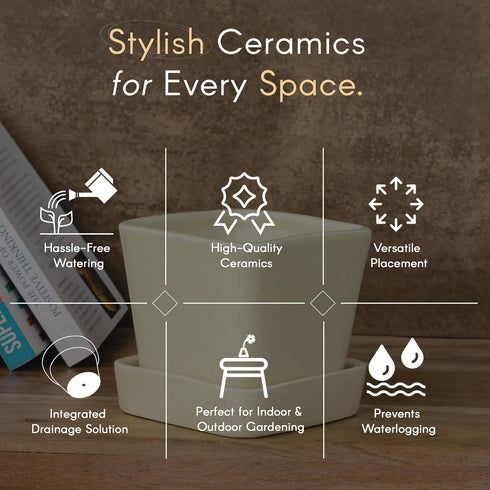 Cream Square Ceramic Planter - The Earth Store - Vase